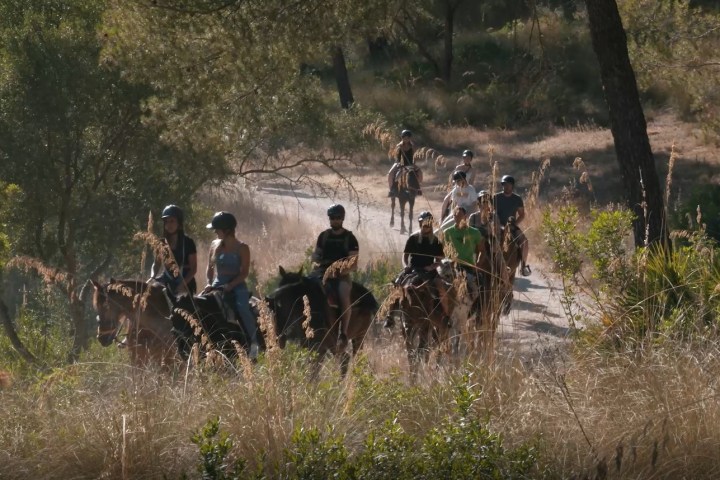 Group of people riding horses on a dirt path in a wooded area.