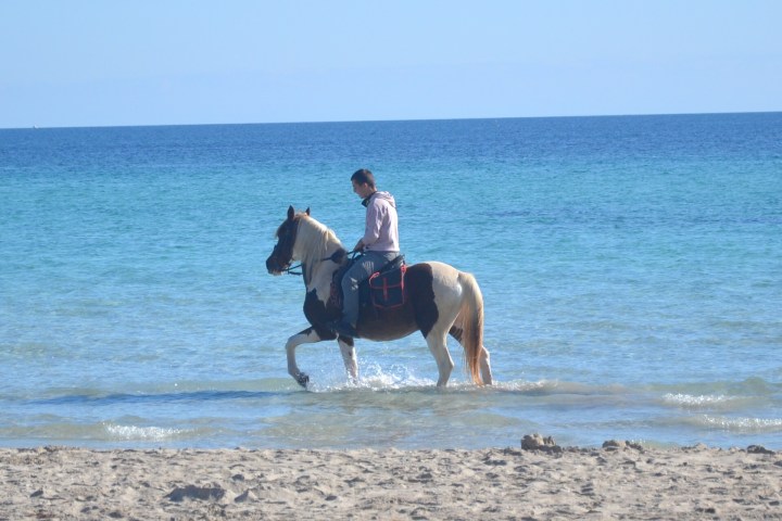 Person riding a horse in shallow sea water on a sunny beach.