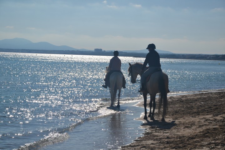 Two people riding horses along a sunlit beach with mountains in the background.