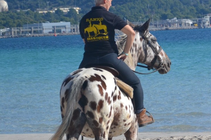 Person with gray hair rides a spotted horse on a beach, ocean and hills in the background.