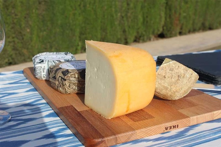 Cheese assortment on wooden board with a garden background.
