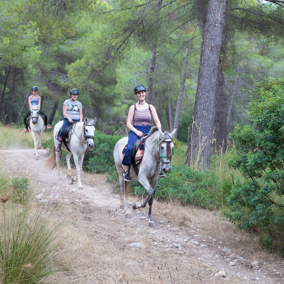 Three people horseback riding on a forest trail, surrounded by trees and greenery.