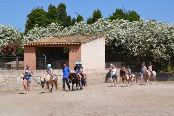 Children riding ponies led by adults in a sunny outdoor area with white flowers.