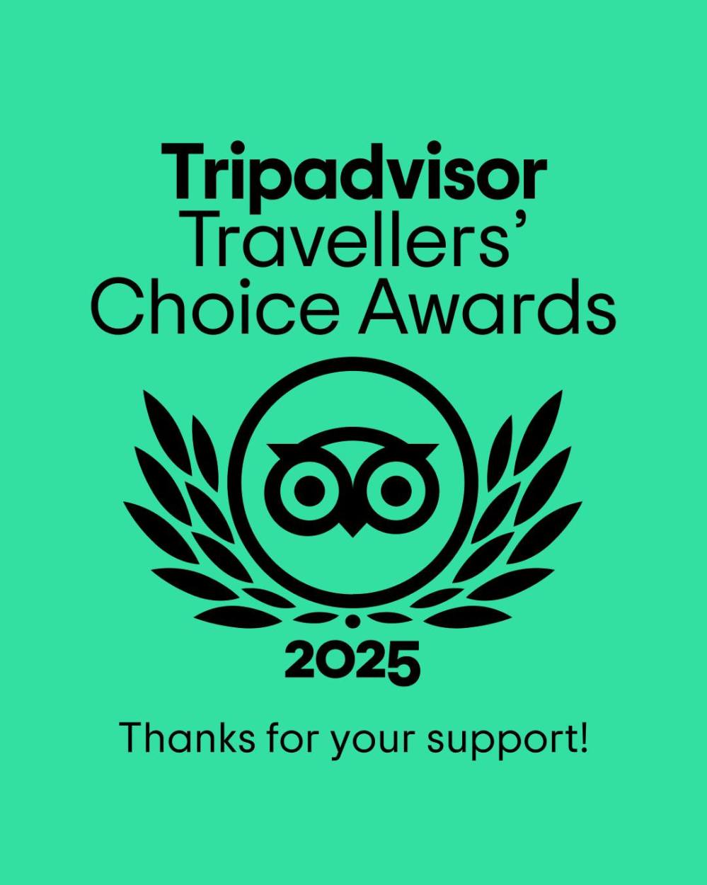 Tripadvisor Travellers' Choice Awards 2025 logo on green background.